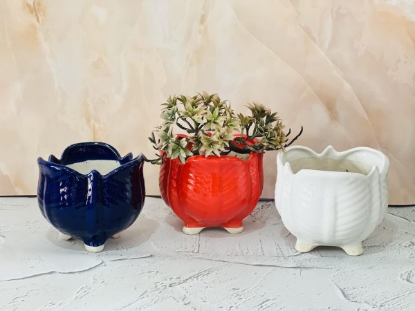 Ribbed Ceramic Planter Set