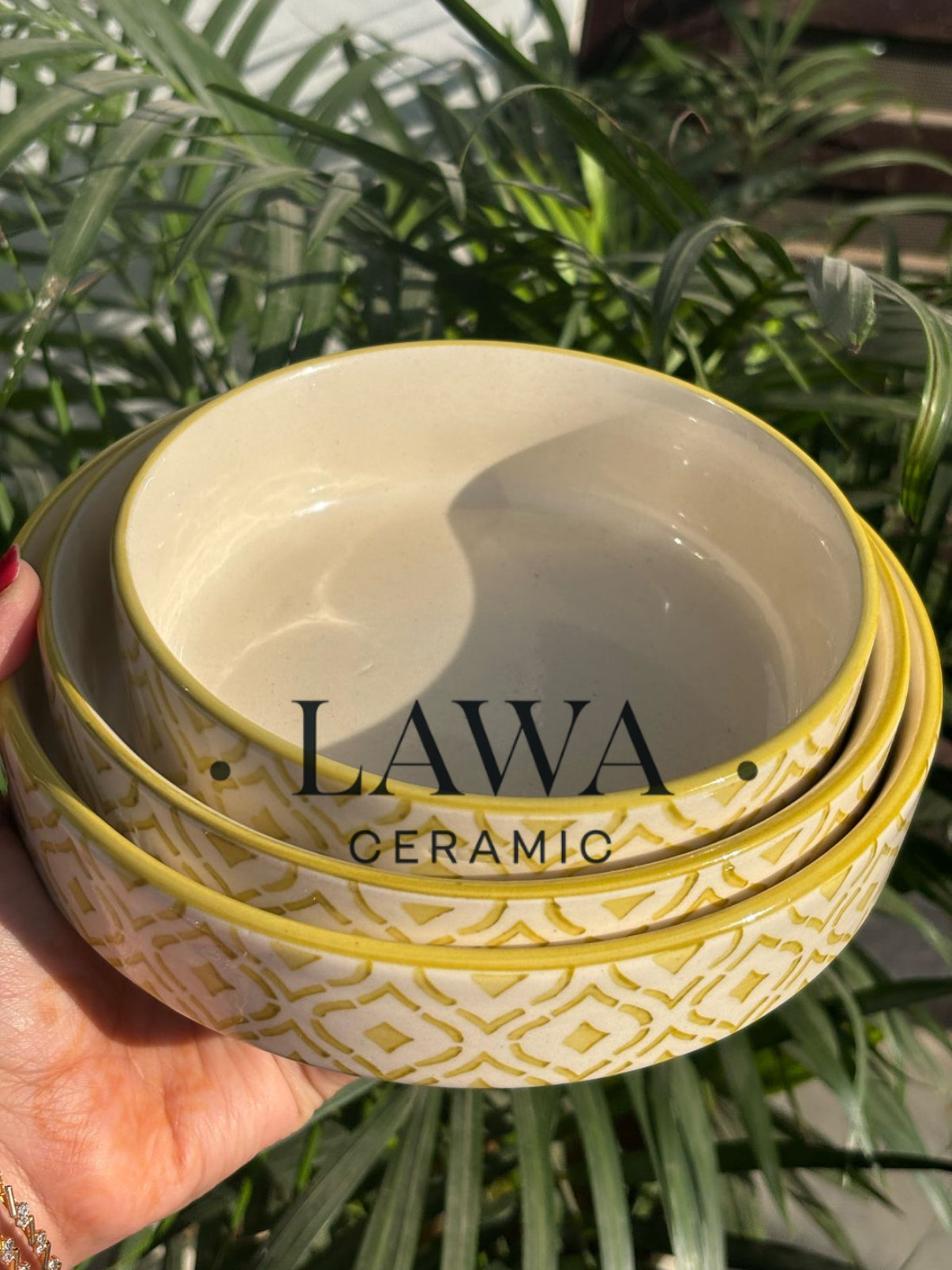 C5B666D7 D520 4C85 9D8F 1C17C840D057