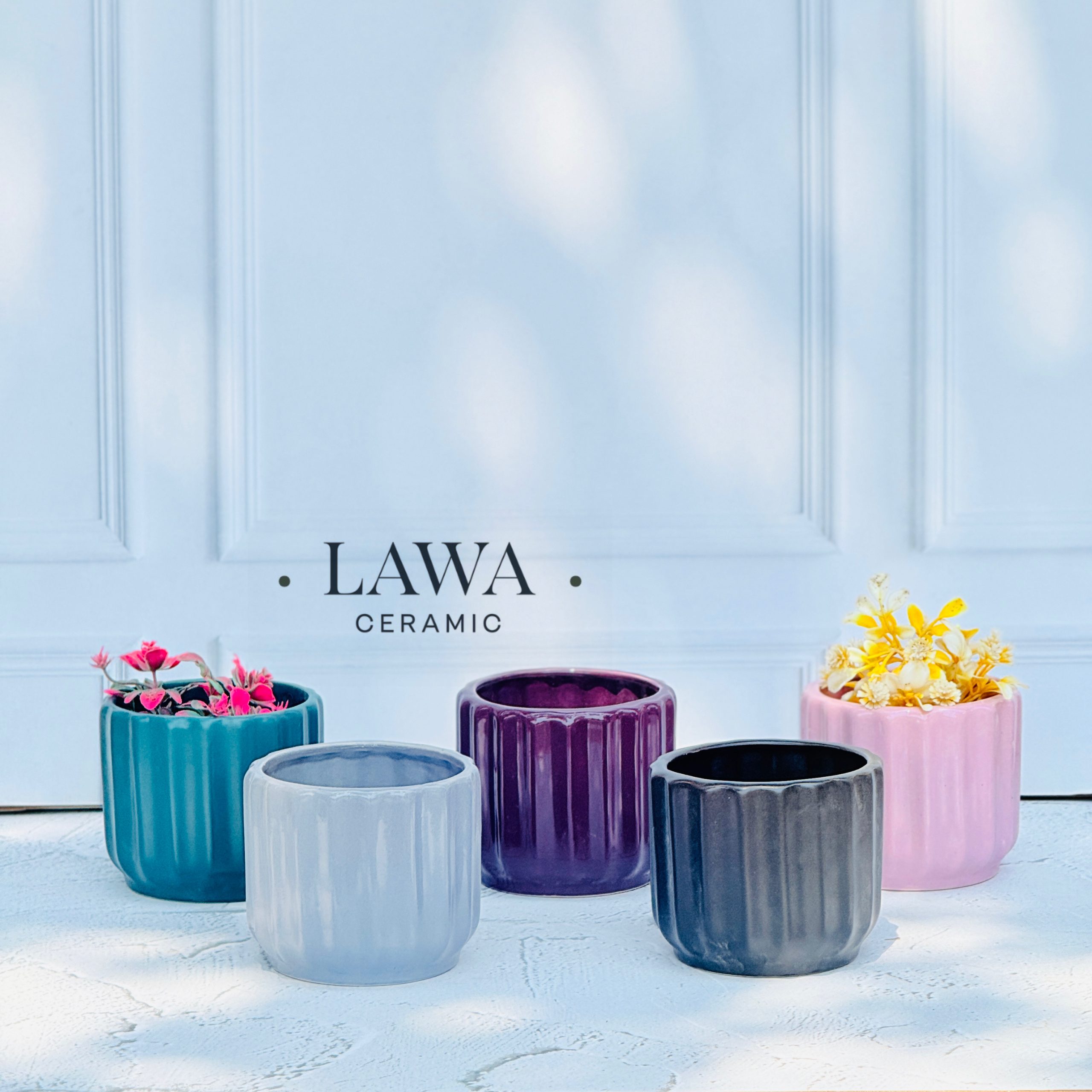 1199CA24 FD33 43FA 893C 8F0968A76B70 scaled