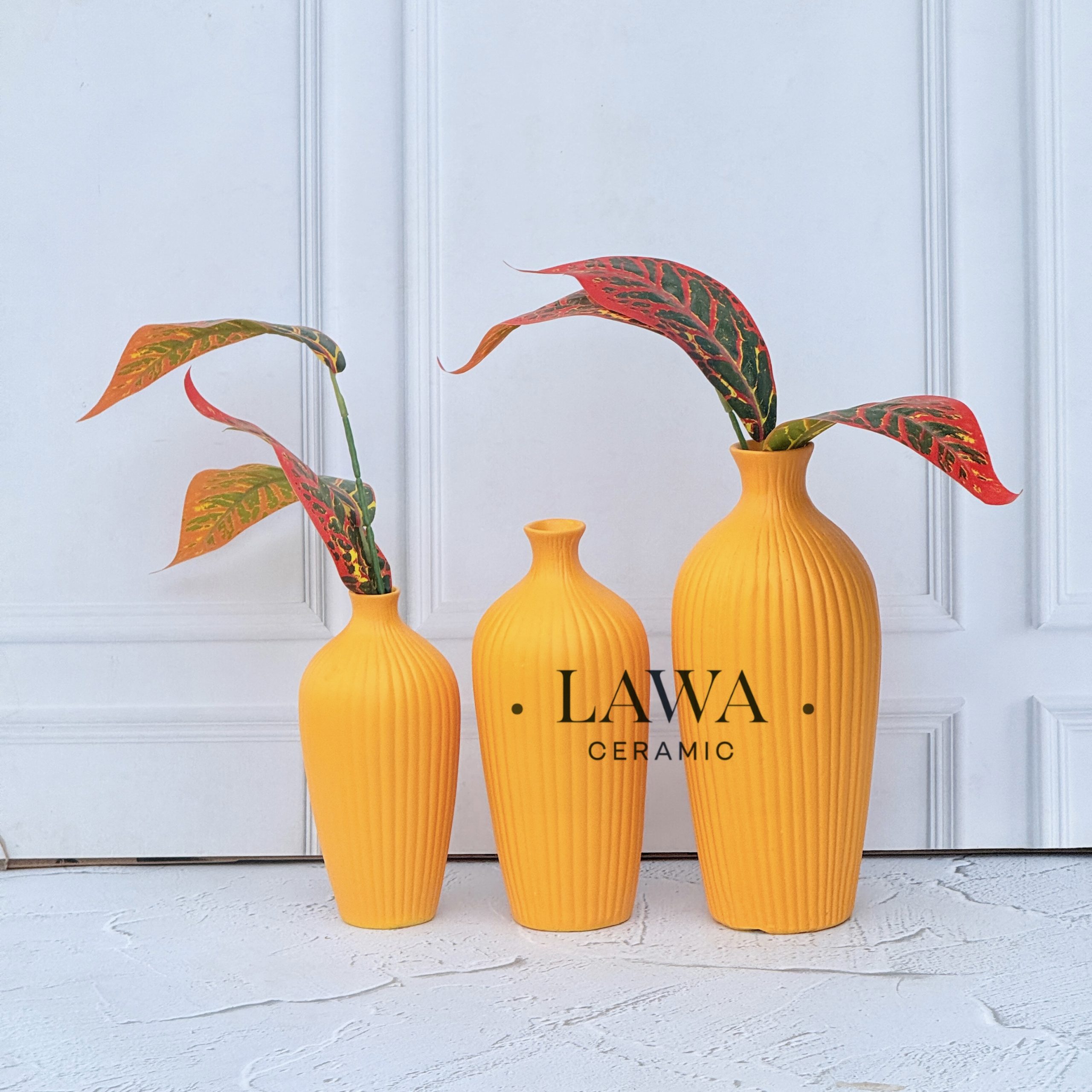 DFE81B49 4DF2 4086 B7E0 9FE700D6DF3D scaled