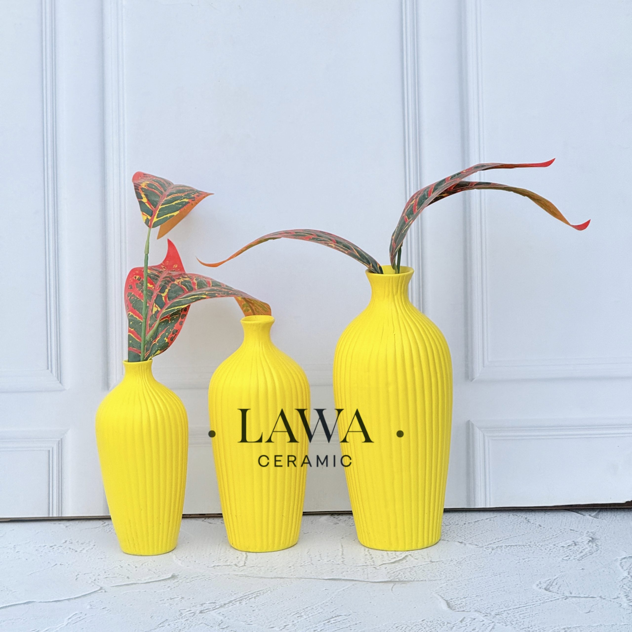 E1603AAA AAA0 467C 87B2 D19725847F5A scaled